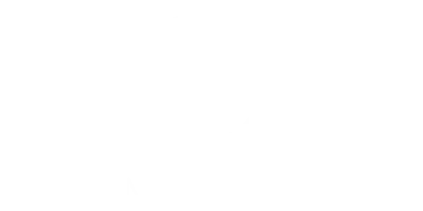 Media GT